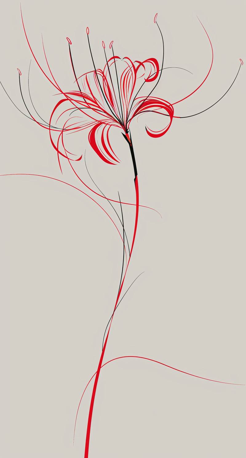 長い茎がついた抽象的なスパイダーリリーの花のシンプルな描画、レッドインクを使用し、グレーの背景に細い線が描かれ、シンプルでネガティブスペースを利用したエレガントな書道スタイルで、白い背景にミニマリズムスタイルで描かれています。