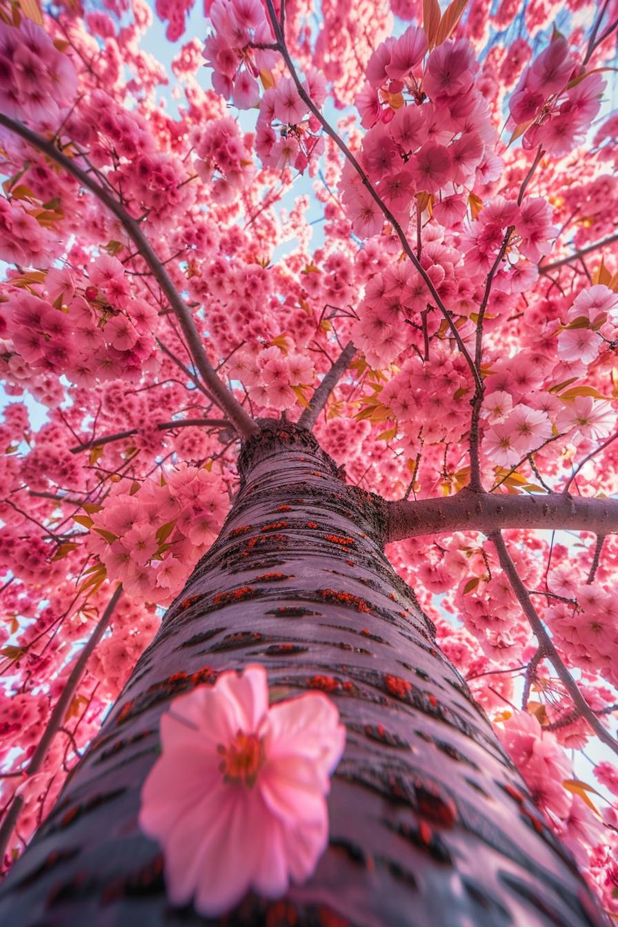 Bottom view of cherry blossom tree, pink flowers falling slowly, vibrant color, pink color palette