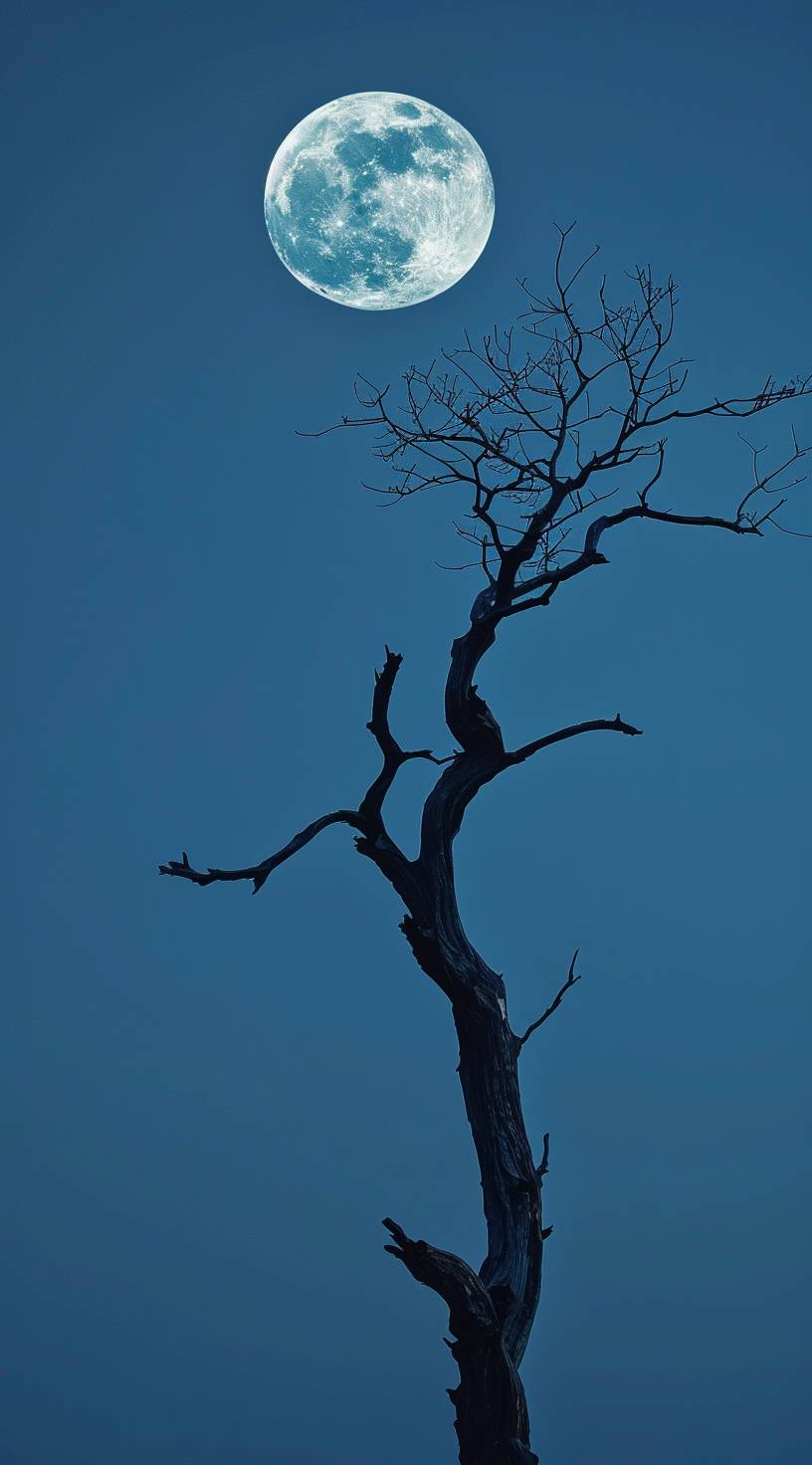 The moon is in the sky, and there's only one branch of an ancient tree with no leaves on it. The background color should be blue gradient. High definition photography