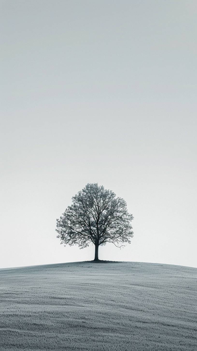 The Perfect Wallpaper for iPhone, The Best Magnificent Photo, Minimalist Photography, A minimalist depiction of a lone tree in a vast, open landscape. The frame is dominated by the simplicity and abstract geometry of the scene, with an emphasis on stark lines, uncluttered composition, and spatial balance. Shot with Hasselblad H6D-400c for photorealistic detail, with an absence of noise or unnecessary elements. High resolution, High details, and High contrast, Award-winning wallpaper, In the style of minimalist --ar 9:16 --v 6.0
