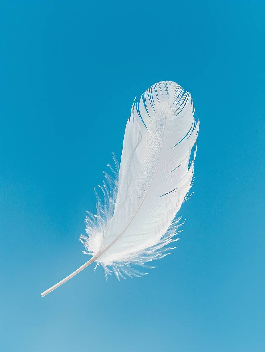 A delicate feather floating freely in the wind against a clear blue sky, representing lightness and freedom from the weight of obsessive thoughts, book cover