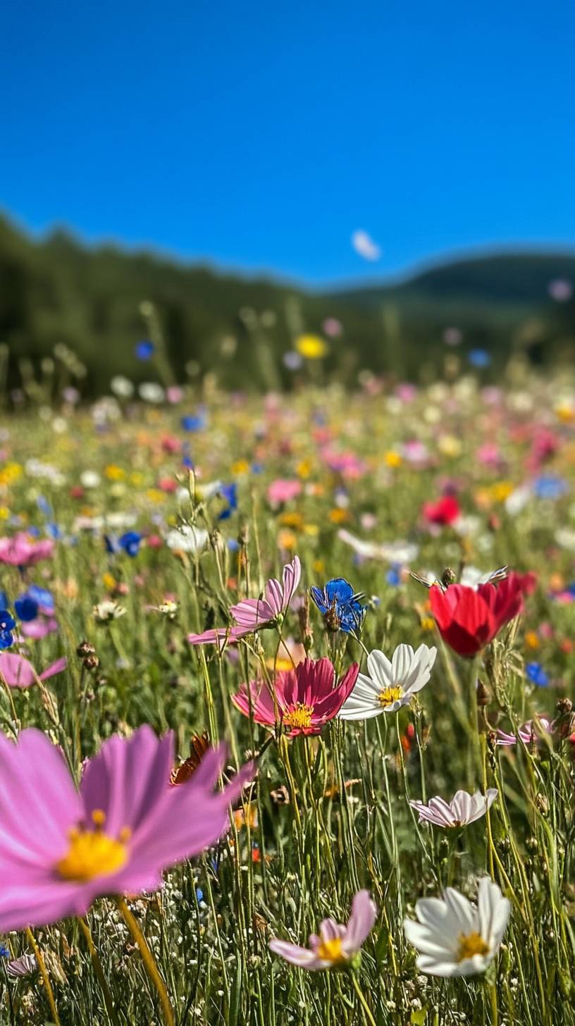 Um campo de flores silvestres de montanha e um jardim de borboletas mostram a beleza natural na brisa de verão.